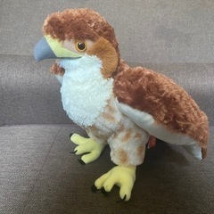 札幌円山動物園 2022年限定デザイン 鷹のぬいぐるみ