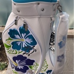 セレブご用達のキャデーバッグ 