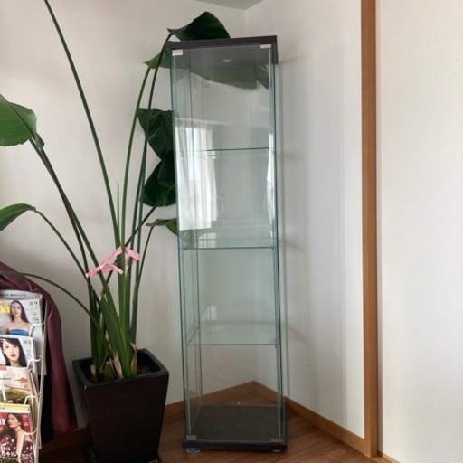 ガラスケース コレクションケース ガラス扉キャビネット IKEA イケア