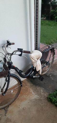 電動アシスト自転車