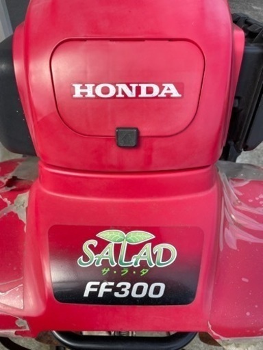 ホンダ　HONDA 本田　ff300 ジャンク扱い
