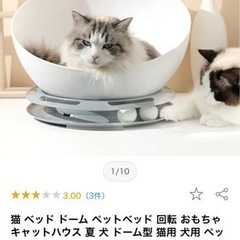 猫　ベッド