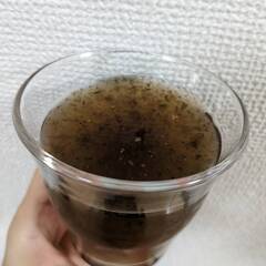 台湾産の有機・生黒きくらげ使用☆黒きくらげ飲料（24入り）/箱