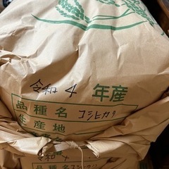 令和4年産コシヒカリ玄米(30kg)