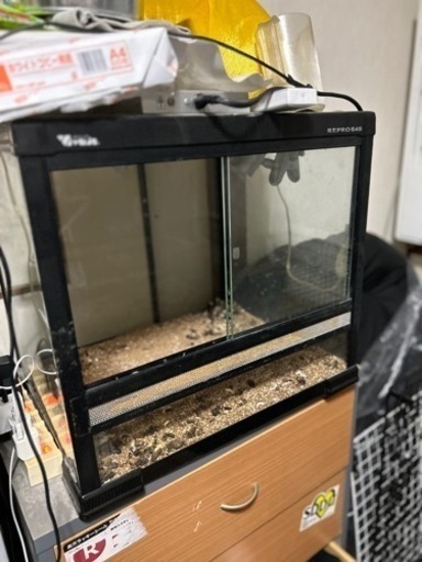 爬虫類　ケージ
