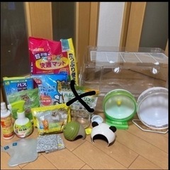 ルーミィ60とハムスター飼育セット