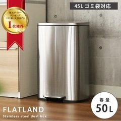 ゴミ箱 50L ダストボックス ステンレス