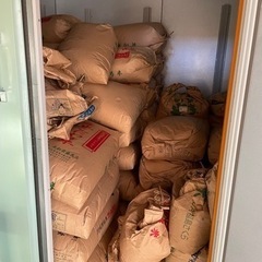農家直販　お米（玄米）30kg  コシヒカリ系ヒカリ新世紀