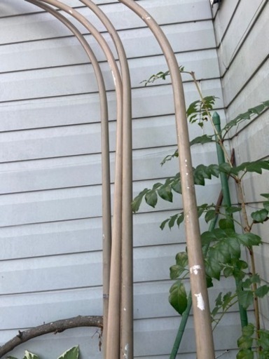 値下しました】ガーデニング アーチ 大型トレリス 自由なゲートを