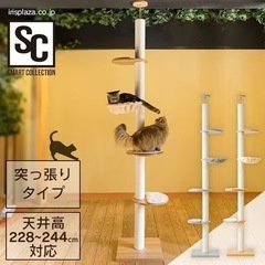 【決まりました】木登りキャットタワー KCCT‐244 ナチュラ...