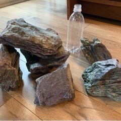 熱帯魚　岩　石　6個