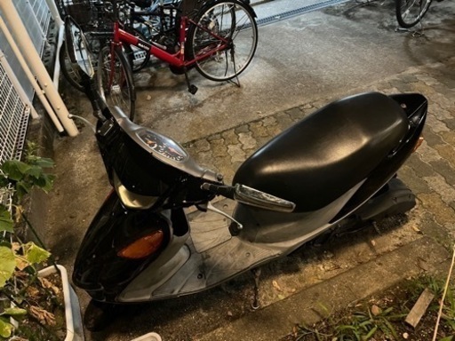 本日限定！