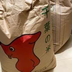 新米　コシヒカリ30kg玄米