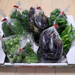 お昼収穫野菜　１袋100～150円