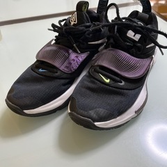 NIKE ナイキFREAK 3 ズーム　フリーク3 ヤニス24.5