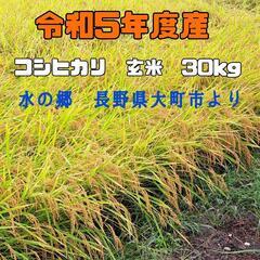 【ネット決済】【新米・玄米】令和５年産　コシヒカリ　30kg