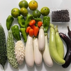 無農薬野菜　果物セット10/1収穫