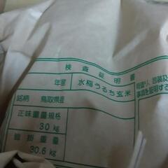 令和4年鳥取県産コシヒカリ 玄米30kg