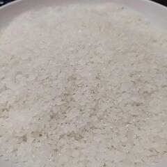 コシヒカリ白米10kg