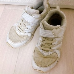 【20.5cm】瞬足 レモンパイ 子供用 運動靴