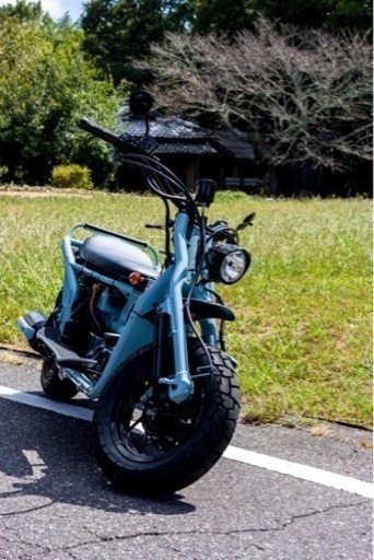 フュージョン２５０　ＭＦ－０２　初期型　カウルレス　ＵＳエアホースブルーカスタム