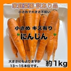 完売しました！他野菜有り♪訳あり キズ有り 不揃い 小さめにんじ...