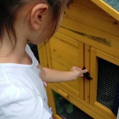 大型 鳥小屋/飼育ケージ/ウサギ小屋/鶏小屋