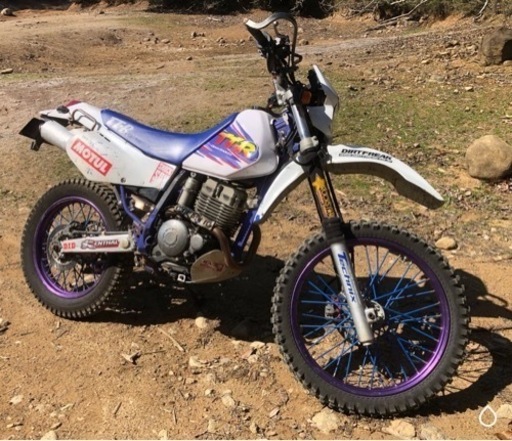 ヤマハ　TT250R