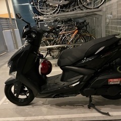 シグナスグリファス