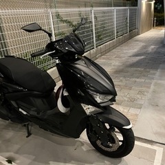 シグナスグリファス