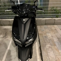 シグナスグリファス