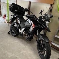 v-strom250sx走行少! (ruf) 七道のスズキの中古あげます・譲ります ...