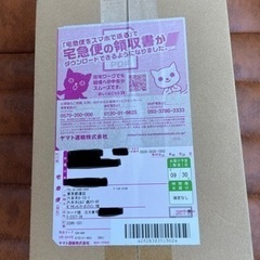 ポケモンカード　151   BOX