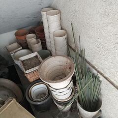 🌷植木鉢🌷や支えの支柱など🌱