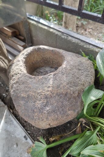 水禽鉢