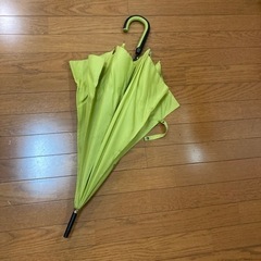 大人用/傘/グリーン