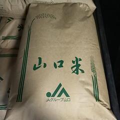 新米　キヌムスメ　玄米30kg