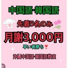 先着5名のみ月謝3,000円　中国語・韓国語初級オンライン…