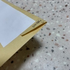 キイロショウジョウバエ トリニドショウジョウバエ 種類&匹数 自由