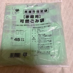 貝塚市 指定袋  45リットル  可燃ごみ袋  10枚入 新品