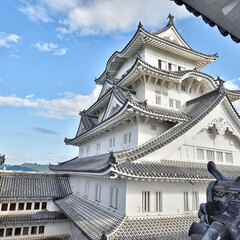 京阪神で写真を撮るのが好きな方募集中
