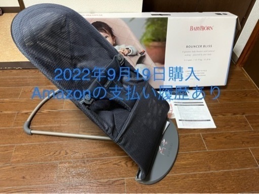 【美品】バウンサーBliss Air アンスラサイト