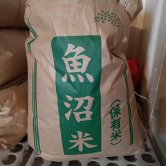 ４年度産コシヒカリ玄米10kg