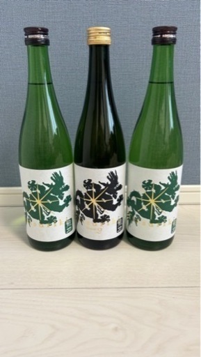 龍力 ドラゴン 緑 黒 純米酒 純米吟醸