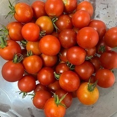 ちょっと大きめのプチトマト