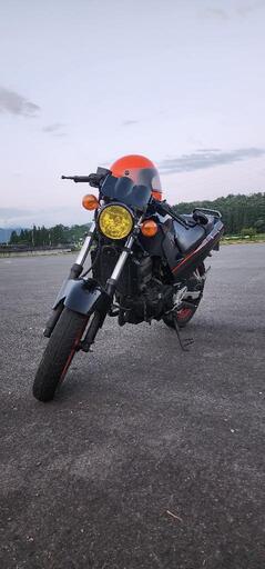 GPX250R ネイキッド仕様