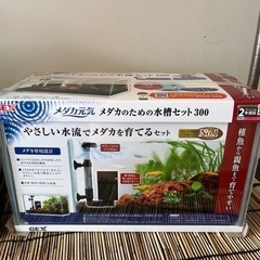 モノマニア四日市】G-16 再掲載【引き取り限定】水槽セット 現状渡し
