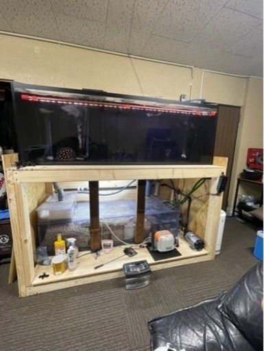 アロワナなどの淡水魚水槽セット