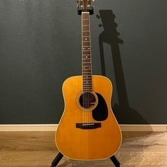 Morris W-25 アコースティックギター