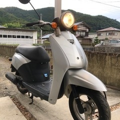 ホンダ　トゥデイ　原付(実働)